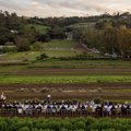 TREILER | Toidufilmide festival esitleb dokumentaali unikaalsest toidu- ja maakunstnikust Jim Denevanist