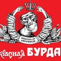 „Как брать и давать взятки“: в России вновь запретили юмористический материал