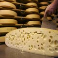 Muinaseurooplased sõid ammu juustu