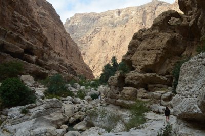 Lummav Wadi Shab, kanjonitaoline org, kus tuleb kivilt kivile ronides matkata veekoguni, kust saab edasi minna vaid ujudes, ja mille lõpus on looduslik kosk ja koobas. 