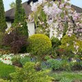 ФОТО | В Хааберсти выбрали самый красивый сад района
