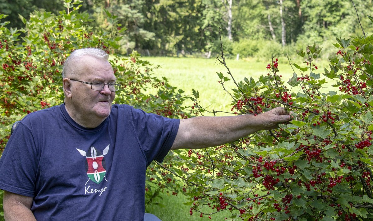 Hundisilma peremees Edgar Savisaar ütles, et on kohalik püsielanik mitte suvitaja. Tema sõnul võib inimene teha endale meeldiva kodu nii maal kui linnas.