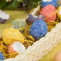FOTOD: 50 munade värvimise ideed maailma kuulsaimalt koduperenaiselt Martha Stewartilt