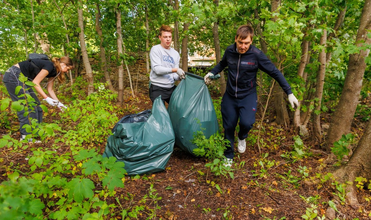 Maailmakoristuspäev 16. septembril