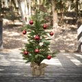 Päris jõulupuu või kunstkuusk – kumba valida?