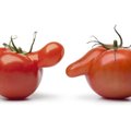 Miks kasvavad vahel kummalise kujuga porgandid või tomatid?