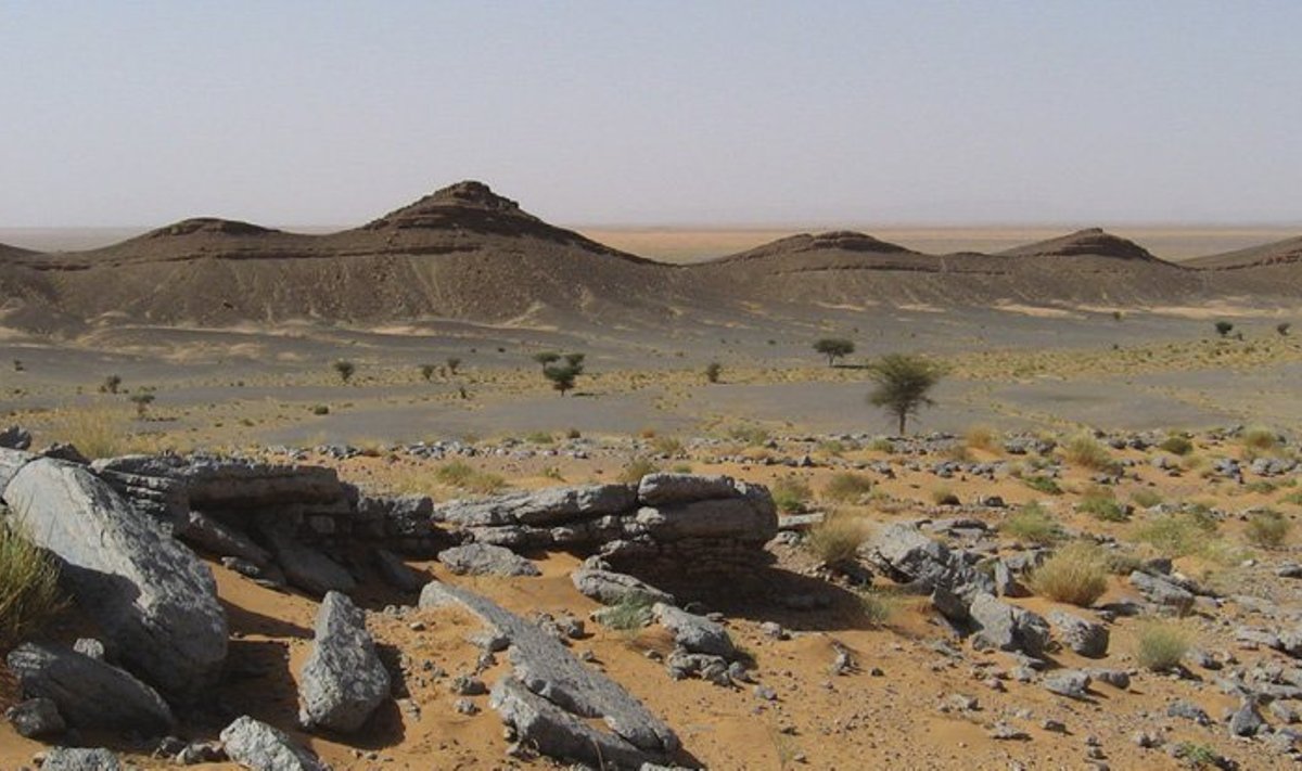 Kem Kem'i setete aluseks olevat ürgrahnud Marokos Hmar Lakhdad'i lähedal. (Foto: Ibrahim et al., ZooKeys, 2020)