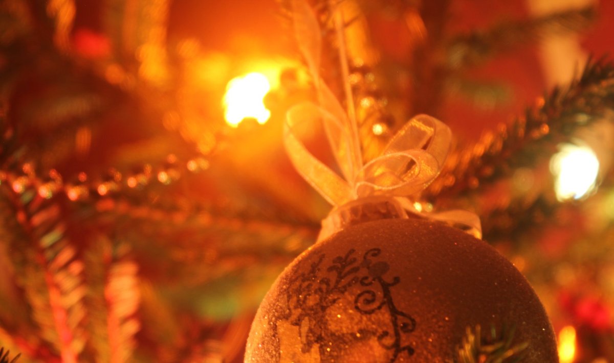Fotovõistlus “Pühad minu kodus”: Jõuluehe varakult jõule ootamas
