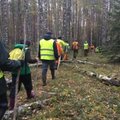Родственники и добровольцы продолжают поиски пропавшего 26 сентября в лесах Причудья Ивана Федоровича. Им очень нужна помощь