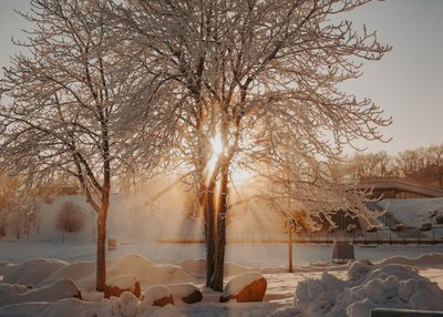 Фото Лизы Гросс