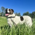 TAHAKS KOJU | Rõõmsameelne Paula-Piia tuleb appi ümbrust uudistama