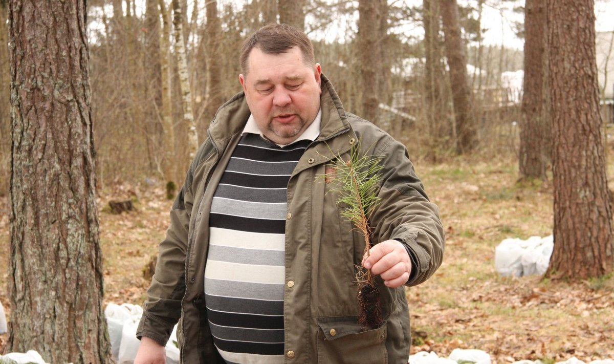 Saaremaa Metsaühingu juhatuse liikme Mati Schmuuli sõnul eriolukorra väljakuulutamine metsaomaniku jaoks tegelikult sisulist muutust kaasa ei too.