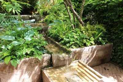 Võitja konteineraedade kategoorias – "The Ecotherapy Garden“, disain Tom Bannister. Chelsea Flower Show 2024. 