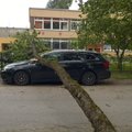 DELFI FOTOD: Põltsamaal kukkus lasteaia juures suur puu auto peale, lasteaiast evakueeriti 50 last