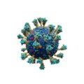 Miks viiruseid ei peeta elusolenditeks?