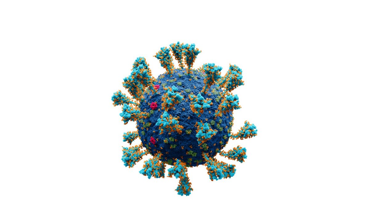 Viirus SARS-CoV-2 (pilt: Alexey Solodovnikov, Valeria Arkhipova / CC BY-SA 4.0 / Wikimedia Commons)
