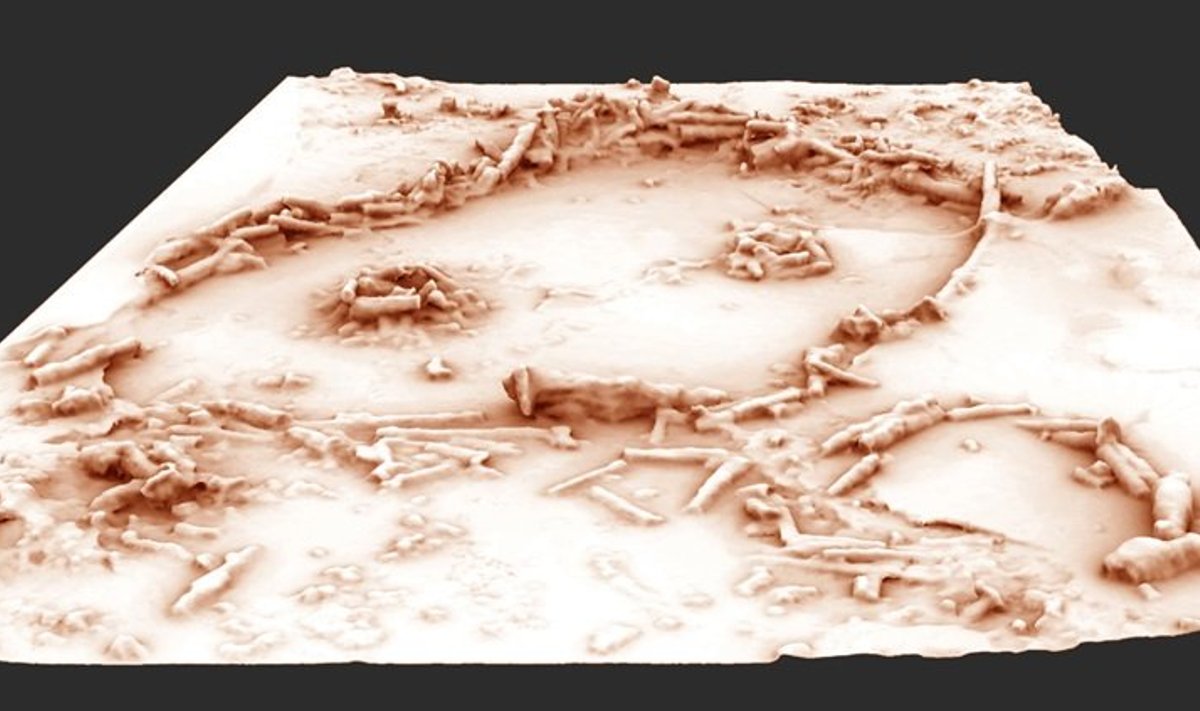 Bruniqueli koopa 3D-rekonstruktsioon. (Foto: Xavier MUTH - Get in Situ, Archéotransfert, Archéovision -SHS-3D, base photographique Pascal Mora)