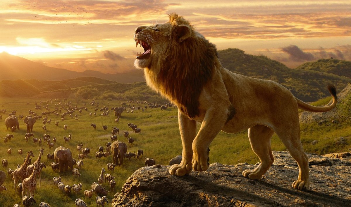 The Lion King (2019) - filmstill