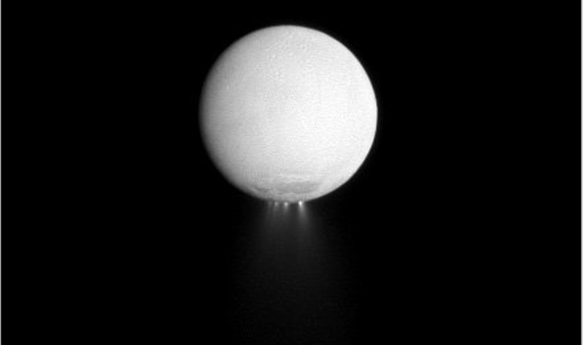 Saturni kuu Enceladuse polaaralalt purskub välja vähemasti neli eristatavat vee-jää sammast. Pilt NASA, JPL, Space Science Institute