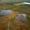 RMK looduse taastamistööd. „Puude kuivamine matkaraja läheduses oleks positiivne areng“