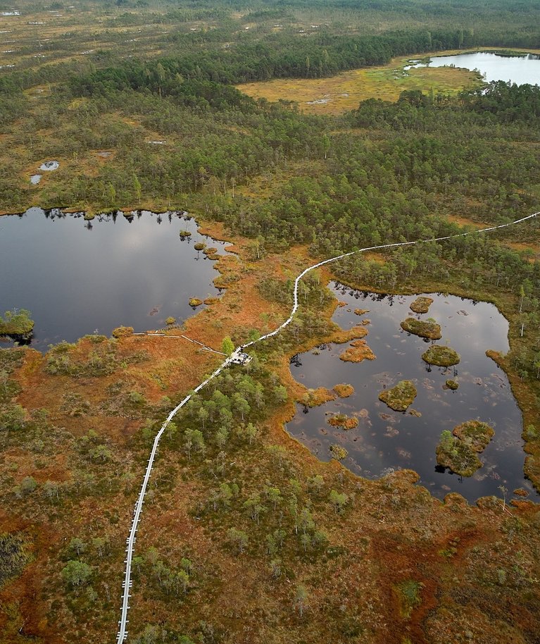 Selisoo lõunaosa enne tööde algust, tehtud septembri alguses 2024. Droonifotol on Suurlaugas veesilmadest kõige tagumine. 