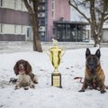 ФОТО | Пыхьяская префектура наградила лучших служебных собак и кинологов. Они находили преступников, оружие и наркотики