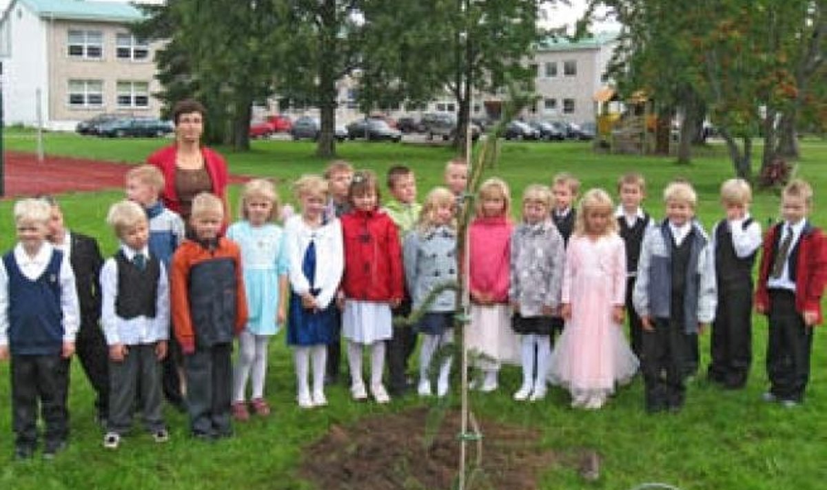 1. klass istutas puu – rebasesaba kuusk
