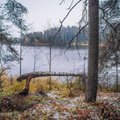 Maalehe ilmatarkade suur talveprognoos: pakane tabab Eestit uue aasta algul
