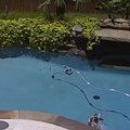Naljakas VIDEO | Pontsaka mopsi päev basseini ääres läks planeeritust pisut teisiti