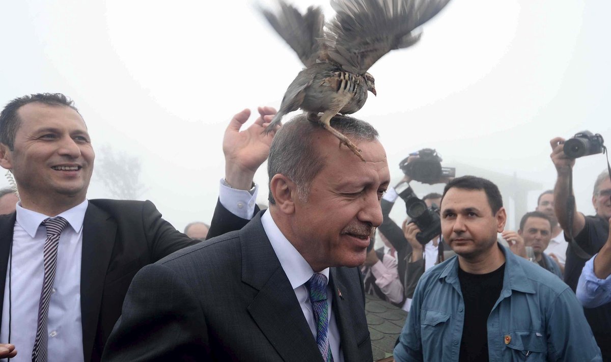 Erdoğan pommitab kurde, kurdid pommitavad Türgit. Reedel pommitas omakorda Erdoğani sümboolne püü, kelle president lasi lendu Rize provintsis mošee avamise tseremoonial.