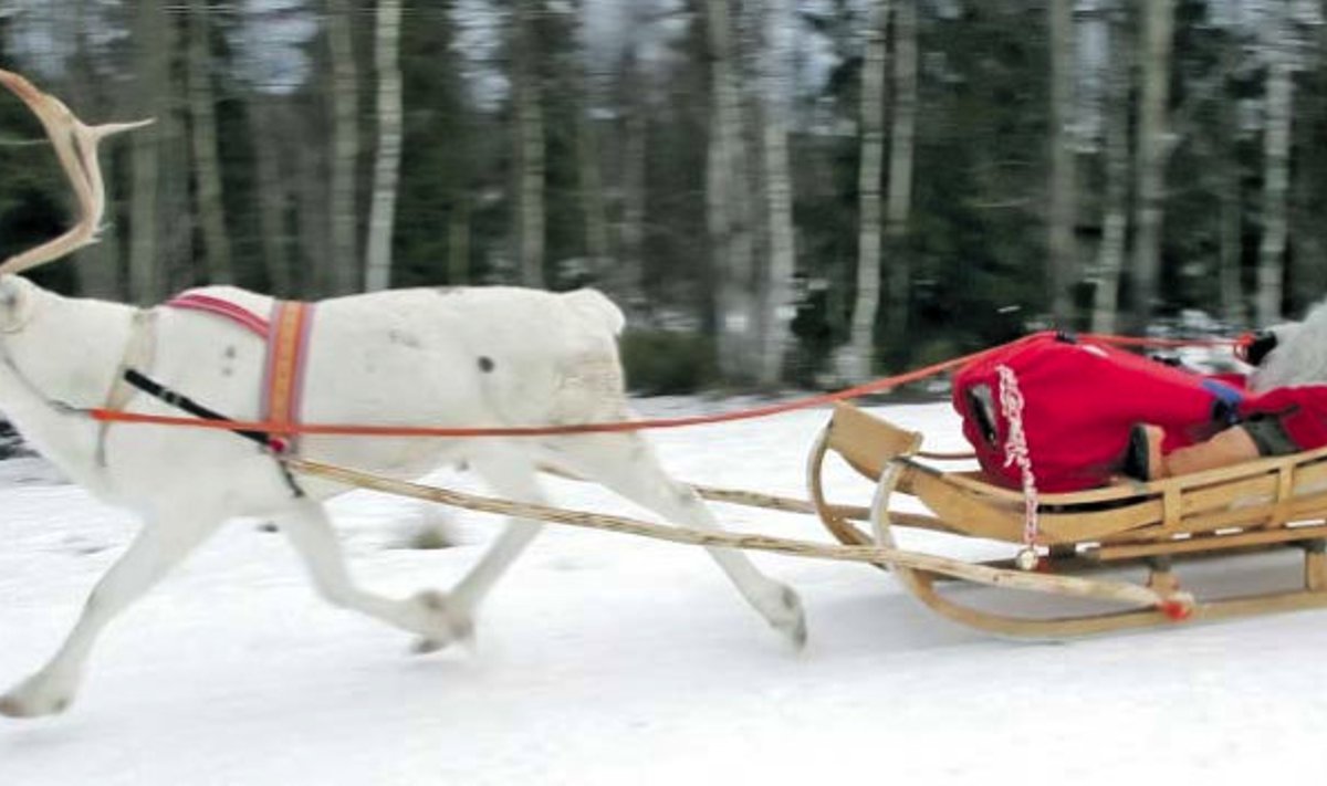 Jõulude eel tegi jõuluvana Rovaniemi kandis proovisõitu, et jõuluõhtul kärmelt kõigi kingisaajate juurde jõuda.