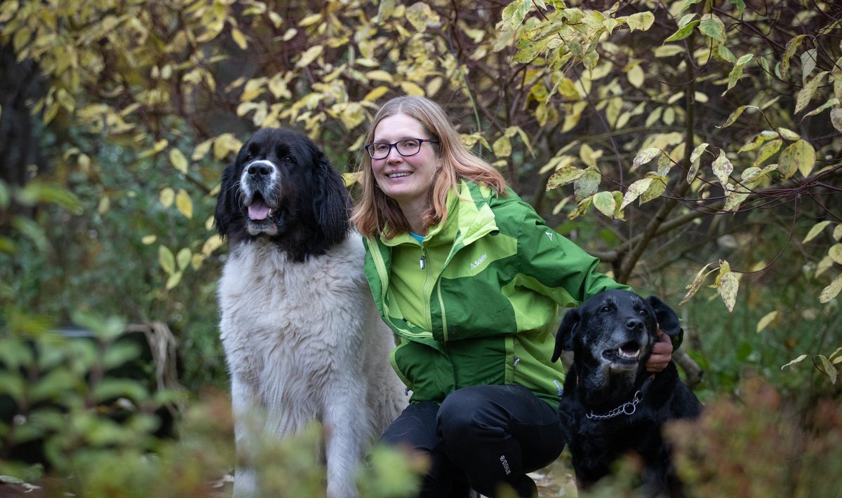 Loomaterapeut Kristi Raava teraapiakoertega