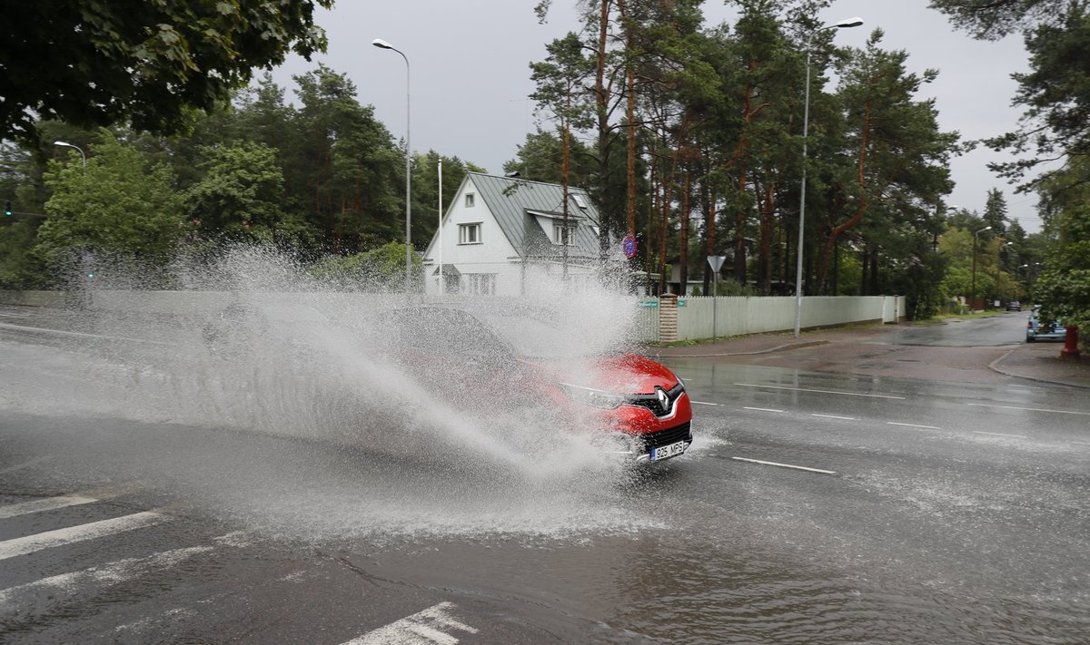 Vabaduse puiestee Tallinnas: illustreeriv pilt