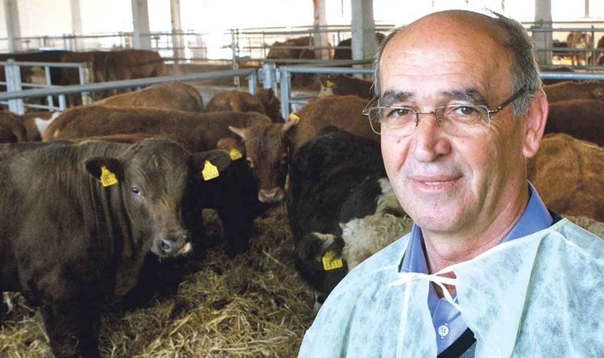 Eestist Türki veiseid turustava Mehmet Ali Kumru sõnul on kõige tähtsam,        et loomakasvataja-talupidaja veisemüügist tulu saaks. Sest vastasel juhul kaob leib ka kokkuostjate  ja edasimüüjate laualt.  