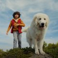 Все любят пёсиков! В эстонский прокат выходит невероятно трогательный семейный фильм про огромную собаку