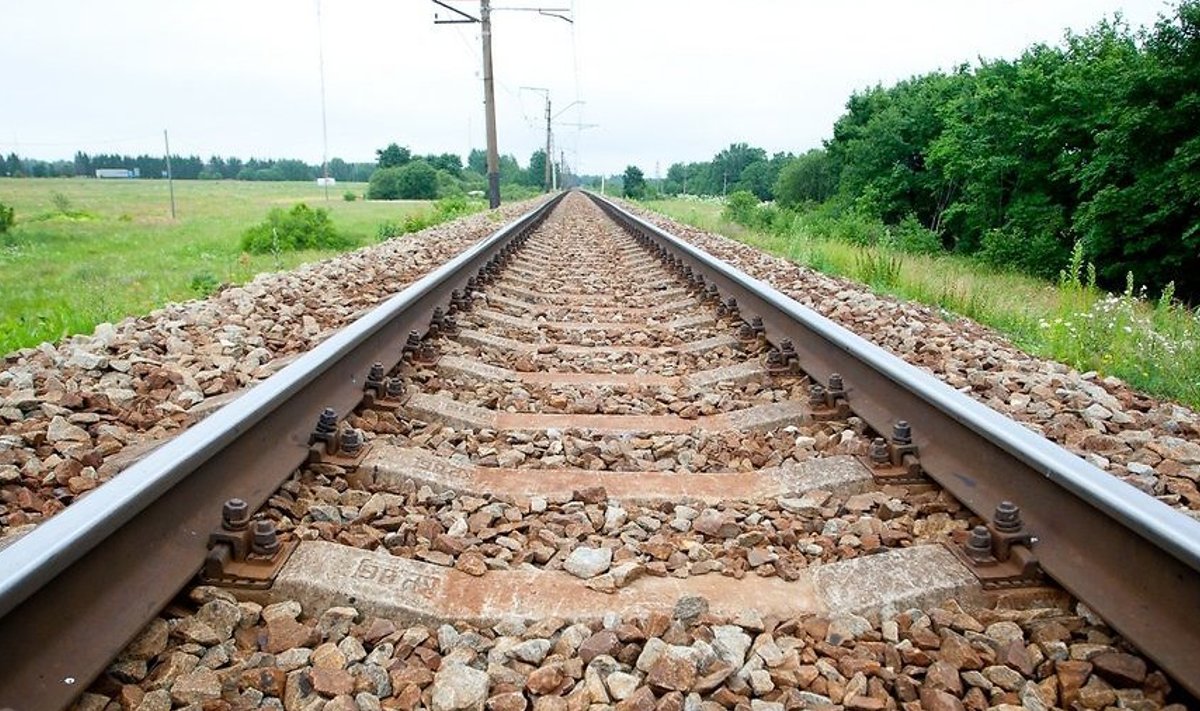 Sisekontroll: Eesti Raudtee tütarfirma juht pani raha kõrvale
