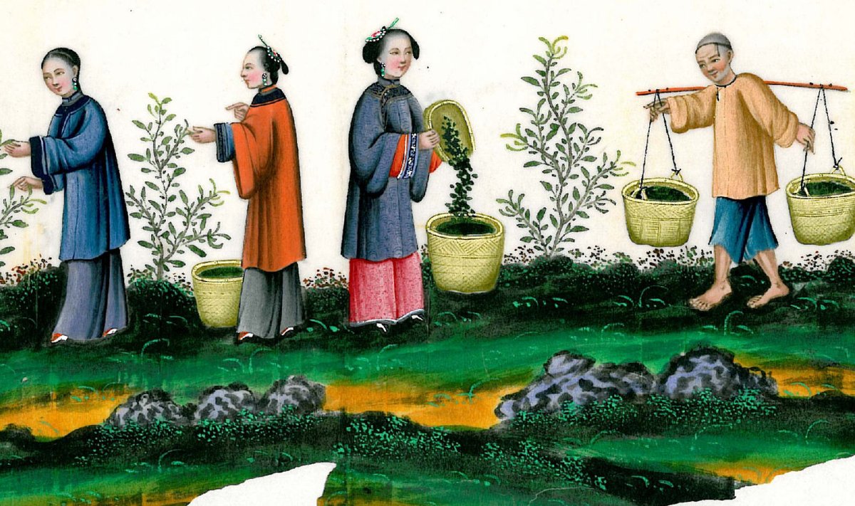 Vahel pandi Vanas-Hiinas toidulauale ka liha, kala ja mune, kuid peamiselt oli tegu jõukate inimeste söögiga. Tavaline hiinlase jaoks oli see pidusöök. Erilise sündmuse tähistamiseks lisati riisile aedvilju või lihatükikesi.