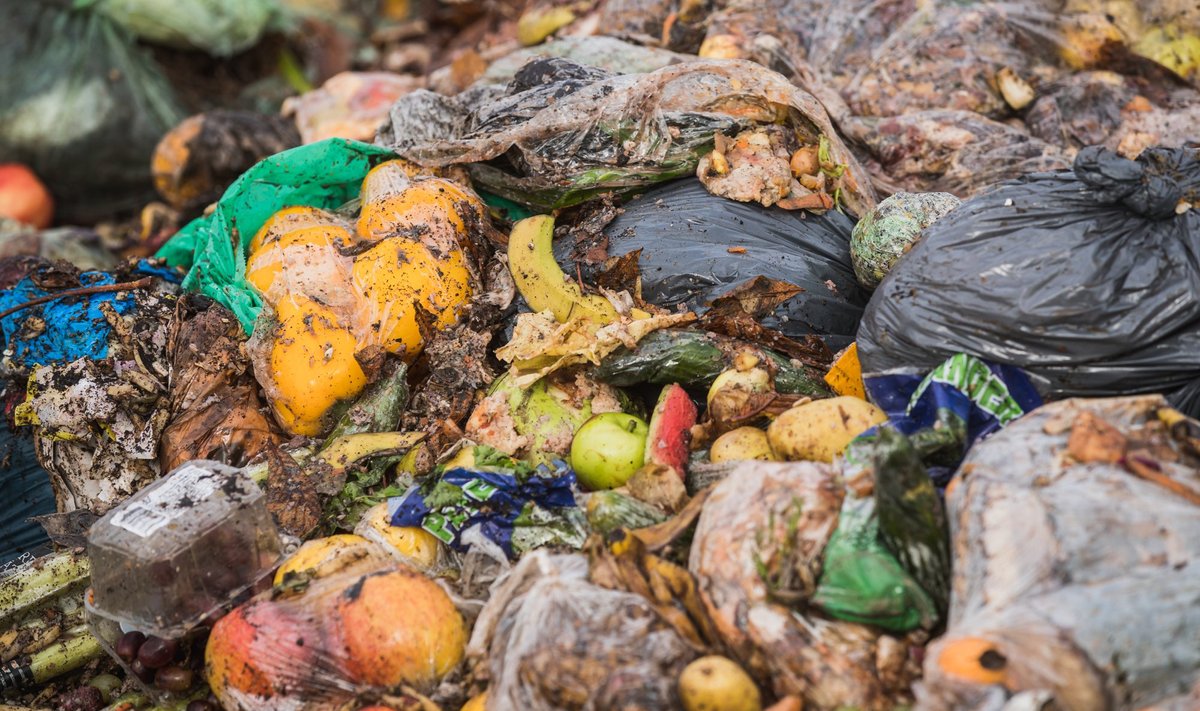 Biojäätmete komposteerimine Aardlapalu prügilas