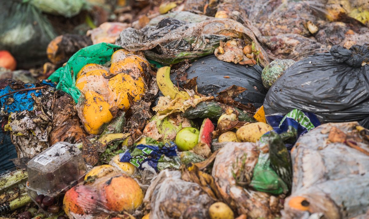 Biojäätmete komposteerimine Aardlapalu prügilas