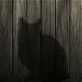 6 fakti: mustad kassid - salakavalad halva õnne toojad või armsad lemmikloomad?