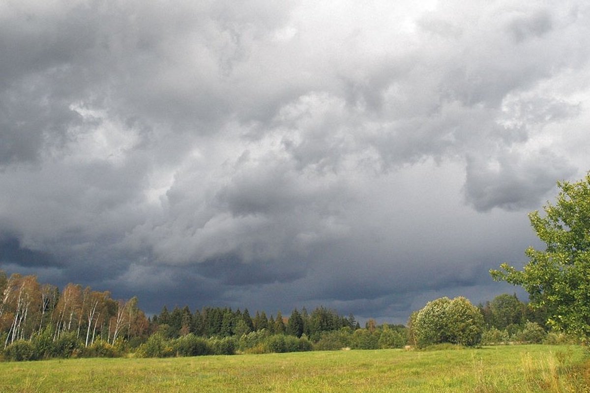 Maaelu arengukava peab toetama metsade elurikkust