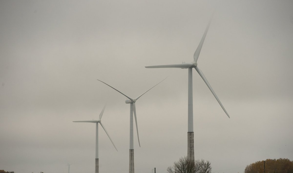 Eesti Energia kavatseb ka edaspidi panustada uute tuuleparkide rajamisele. Pildil Aulepa tuulepark.