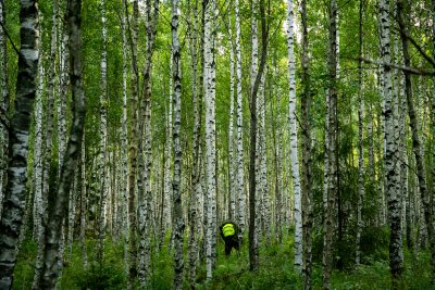 Orienteerumisel oli teede kasutamine keelatud.