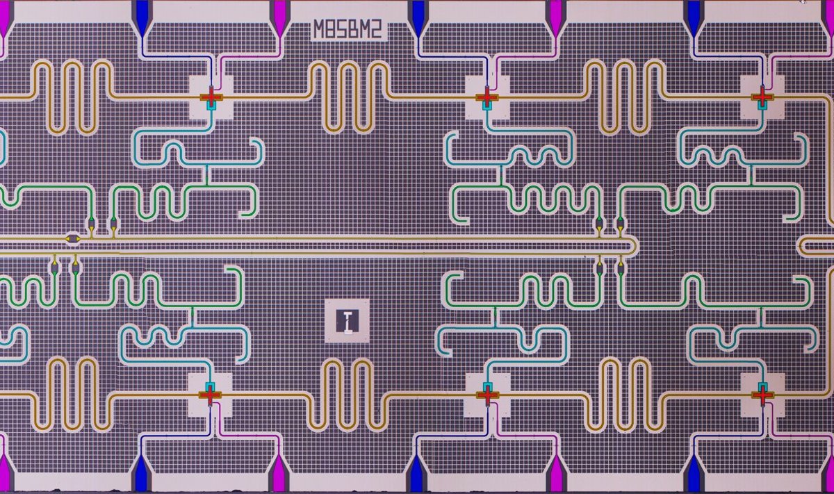 Mikroskoobiga tehtud valevärvides pilt 14 × 7 mm suurusest kvantprotsessorist. Punane  tähistab kvantbitte, lilla ja sinine märgivad ühe ja kahe kvantbitioperatsiooni signaaliradasid ning kollane tähistab kvantbittide seisundite väljalugemise signaalirada