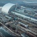 Teadlased leidsid Tšornobõlist olendid, keda tuumakatastroof absoluutselt ei mõjutanud - milles asi?