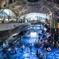 Летная гавань в Таллинне отказалась участвовать в Ночи музеев. Что случилось?