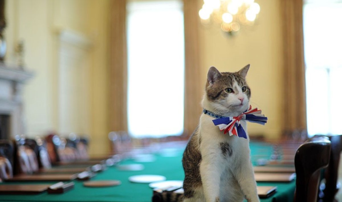 Briti peaministri kass Larry