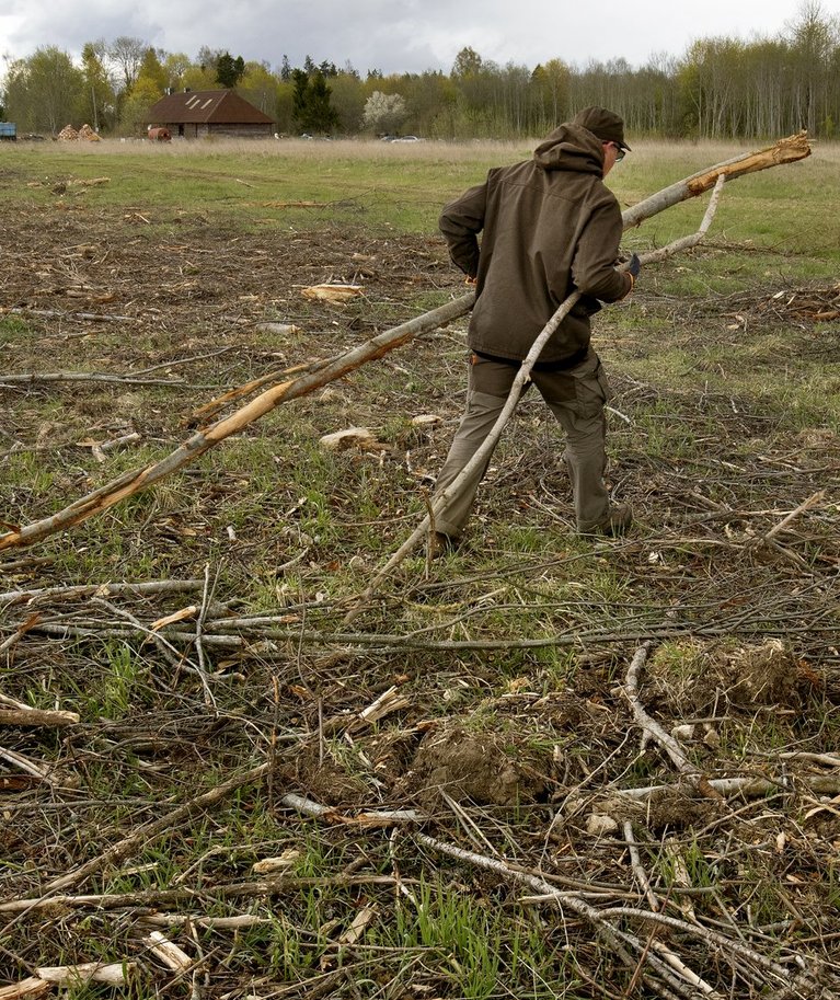 Lääne Virumaal Mäo külas jäi heinamaale puiduhakke ladustamise paika maha hunnik laga, mille koristamiseks kulub töömehel vähemasti päev.