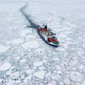 Крупнейшая экспедиция в Арктику: что узнал немецкий ледокол