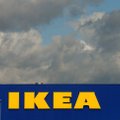 IKEA ei kavatse Eestisse poodi teha